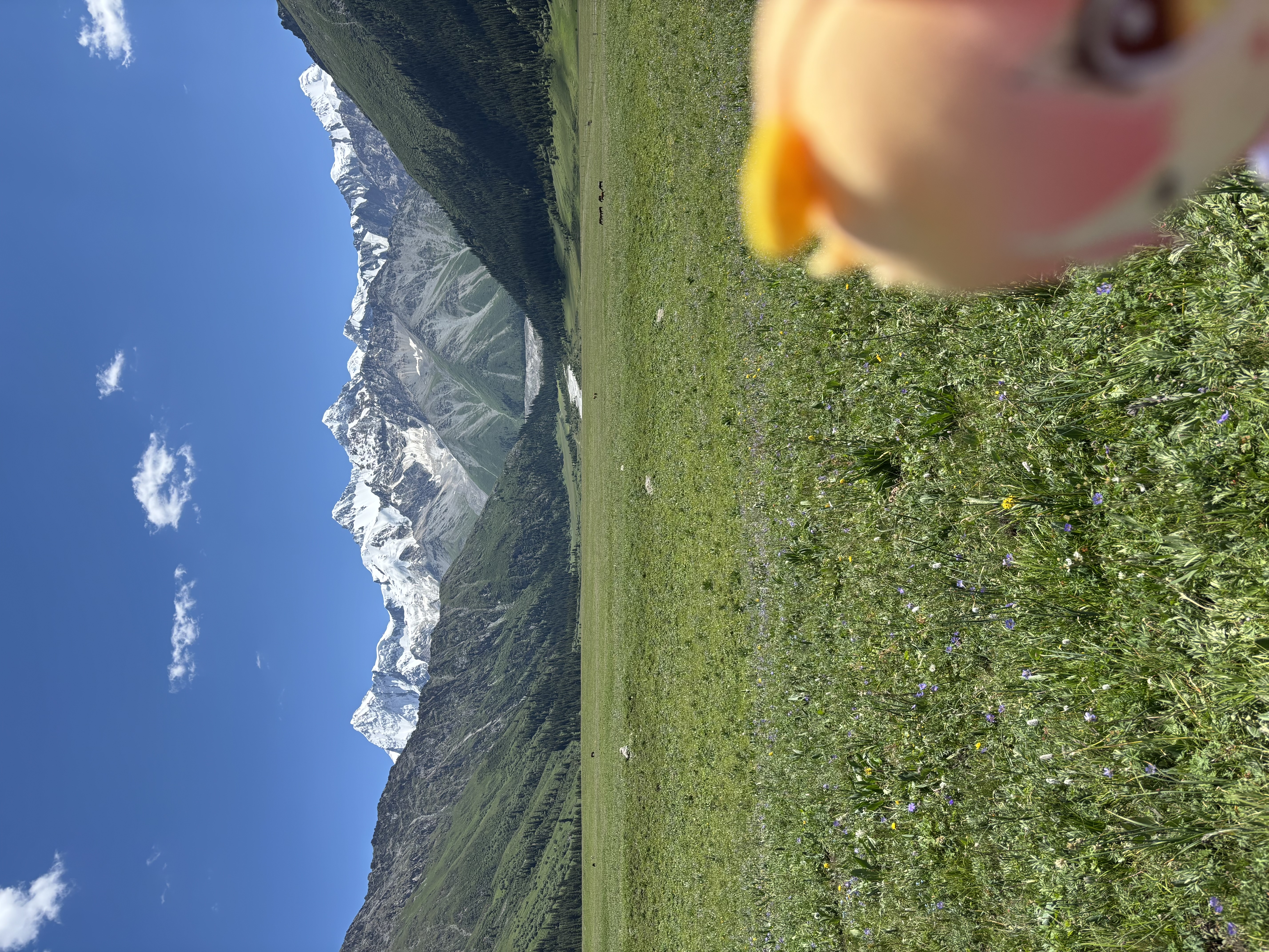 夏塔雪山下