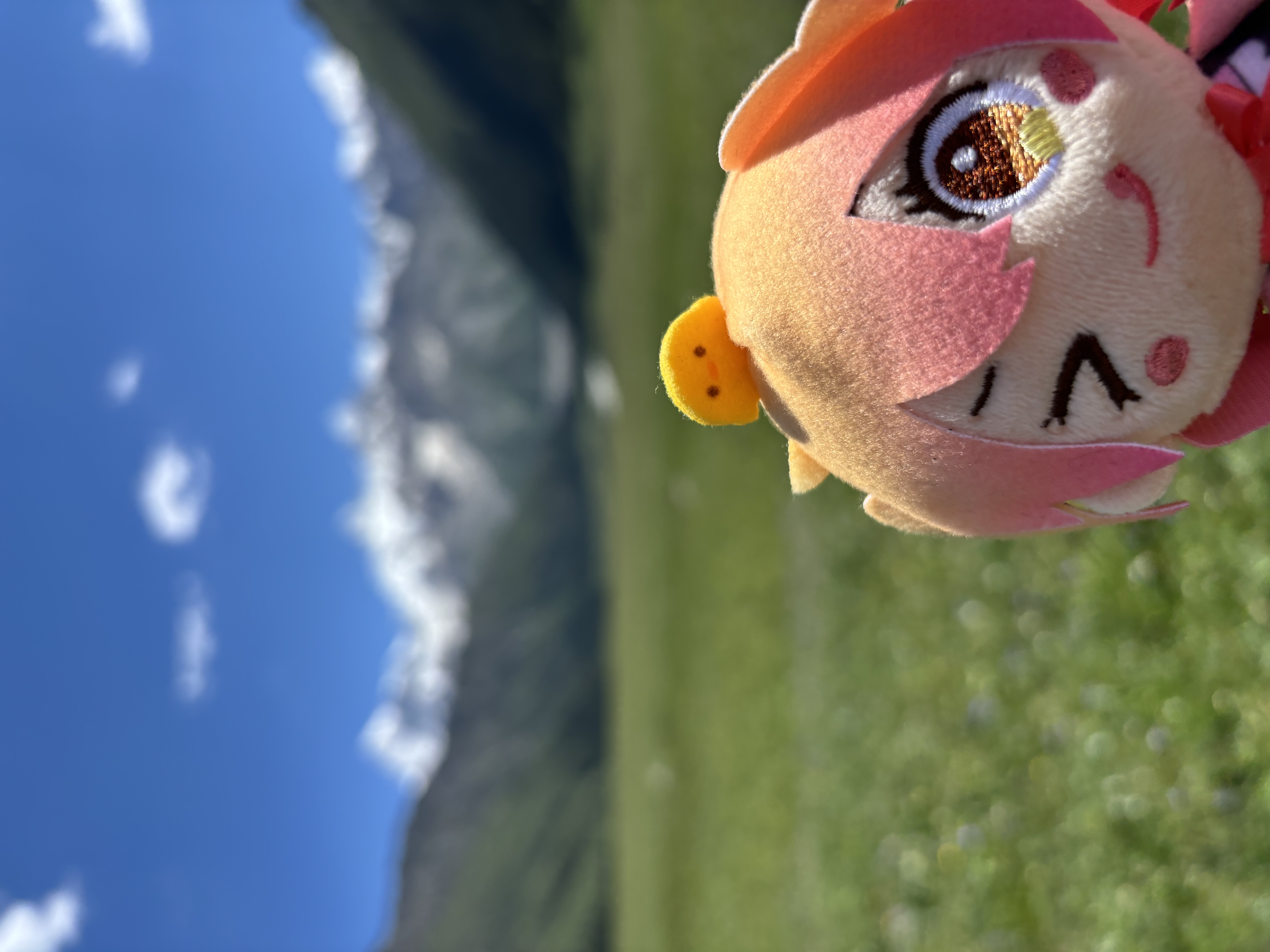 夏塔雪山下